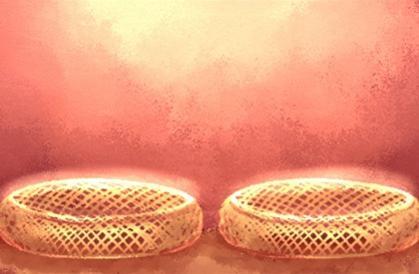 女生眼睛最好的面相(面相好的人眼睛好看)插图