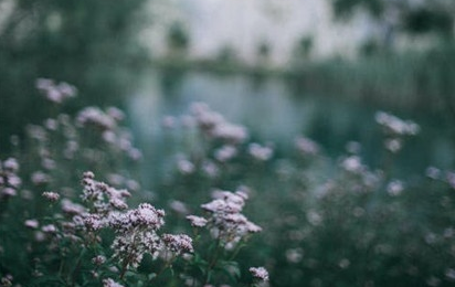 本月星座桃花运排行榜 六月份桃花运最旺的星座插图