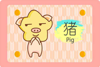 猪年出生属猪的宝宝好吗(2019年属猪的宝宝几月出生好)插图