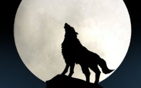 梦见被野狼追是什么预兆(梦见野狼攻击自己是什么预兆)缩略图 梦见被野狼追是什么预兆(梦见野狼攻击自己是什么预兆)缩略图