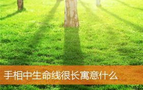 手掌生命线线纹详解图(手掌生命线代表生命长短吗)缩略图 手掌生命线线纹详解图(手掌生命线代表生命长短吗)缩略图