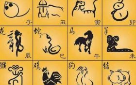 2022年十二生肖流年运势详解(2022年十二生肖整体运势排行榜)缩略图 2022年十二生肖流年运势详解(2022年十二生肖整体运势排行榜)缩略图