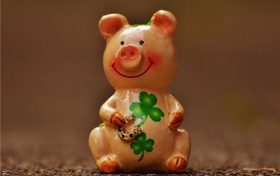 属猪的人2022年的幸运数字是多少(2022属虎的年龄表)缩略图 属猪的人2022年的幸运数字是多少(2022属虎的年龄表)缩略图
