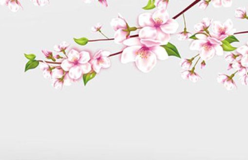 2020年本命年适合戴什么水晶 水命本命年带什么东西最好插图