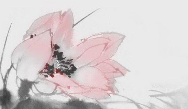 平地木出生在什么日子好 平地木五行详解插图