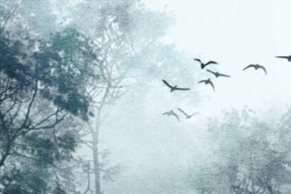 戊土命配壬水 戊土命和壬水命在一起插图
