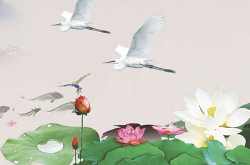 属猴的今年有没有桃花运 属猴的今年有桃花运吗插图