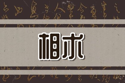 发际线偏高额头饱满的女人面相 额头丰隆饱满颧骨高的面相解析插图