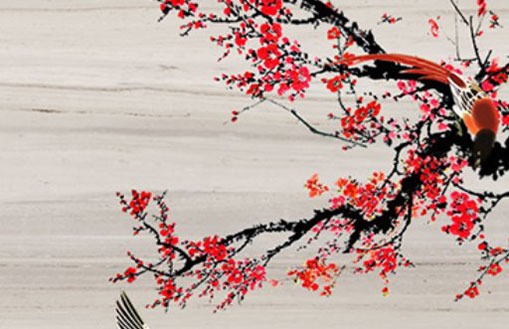 铜钱草摆放在哪里最旺财(铜钱草旺财吗)插图