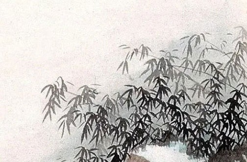 1974年虎2022本命年女运势如何 74年本命年虎注意什么插图