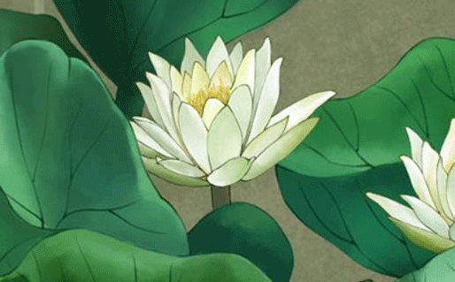 属虎的人命好不好86年(86年属虎人的是穷苦命还是富贵命)插图