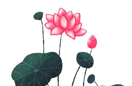 今年本命年忌什么属相 本命年穿红色会避太岁吗插图