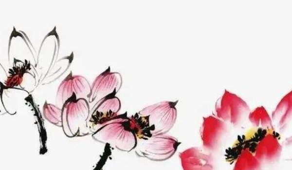 办公室摆放什么植物最好看 办公室摆放哪种植物最好插图