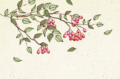 本命年去除霉运 本命年怎样才能解霉运插图