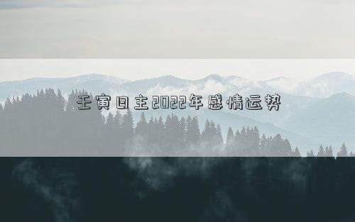 壬水日柱在壬寅年运势 壬寅日运势插图