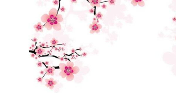 适合办公桌盆栽的植物 办公桌上小型盆栽植物插图