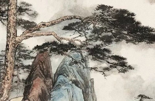 今年的属兔的运气如何 属兔的今年下半年的运气如何插图