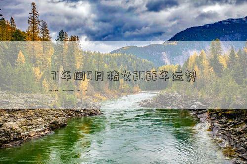 71年猪女在2022年运气 71年猪摩羯座女2022年运势插图