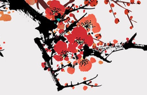 生肖虎戴什么转运?(74年的虎佩戴什么才能转运)插图