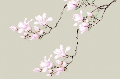男生戴什么颜色的虎眼石 本命年戴虎眼石插图