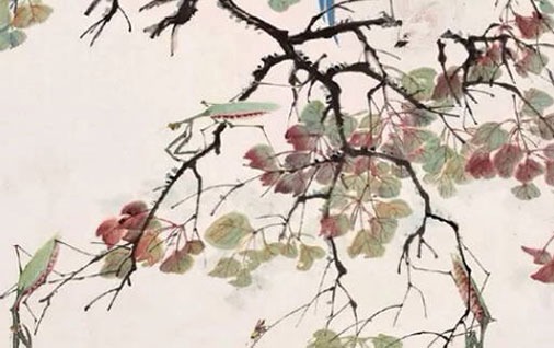 属猪和属龙的人是窝里横的人吗 属猪与属龙的人插图