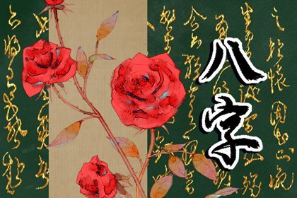 石榴木命的人开公司取什么名字好 石榴木命叫什么名字好插图
