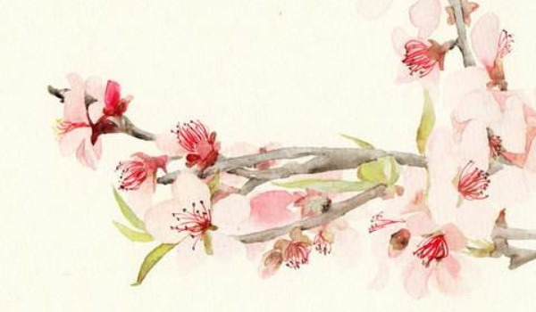 客厅财运位摆放什么绿植 家里适合摆放什么绿植聚财插图