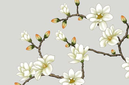 生肖虎家里适合摆放什么吉祥物 家主生肖虎家里摆放什么插图