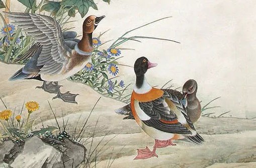 92年猴女一生桃花运 92年的猴一生的贵人是什么人插图