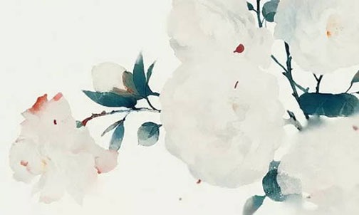 1998属虎女生今年运势 1998年属虎女运势及运程插图