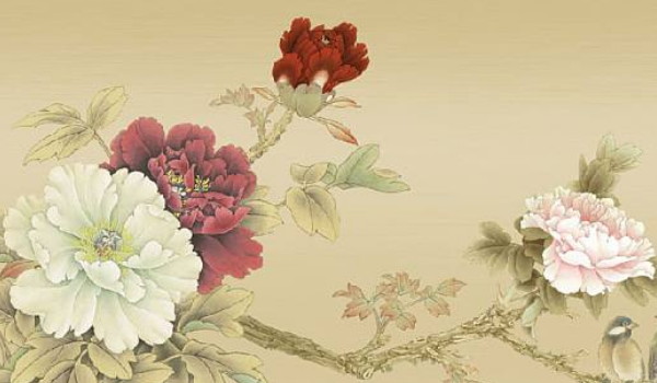 总经理办公室绿植摆放方案 领导办公室绿植摆放有何讲究插图