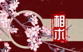 眉毛眉峰高的男人面相 没有眉毛的男人面相缩略图 眉毛眉峰高的男人面相 没有眉毛的男人面相缩略图