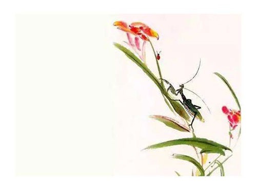 98年属虎的人2020年运气怎样 98年属虎人2022年虎年全年运势插图