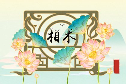 天生财运好的面相特征分析 财运极好的面相特征插图