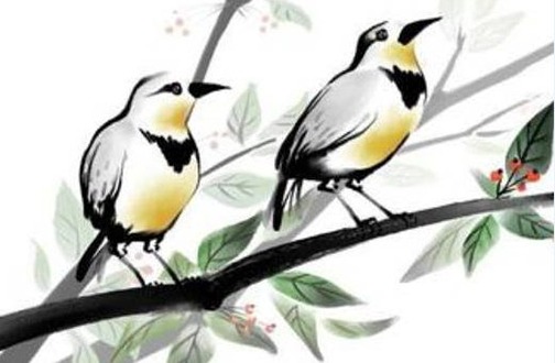 属虎的本命年戴什么手链合适 属虎本命年适合戴什么手链插图