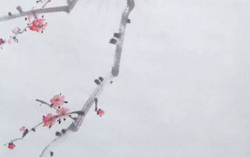 属虎人最怕生在几月 6月属虎人代表人物插图