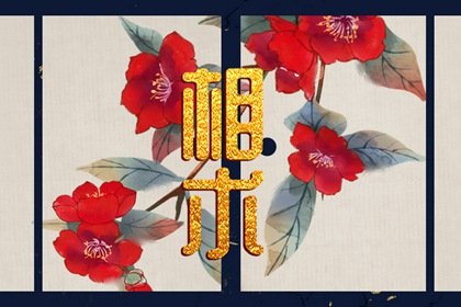 为什么有的人有酒窝代表什么了 有酒窝的人代表上辈子插图