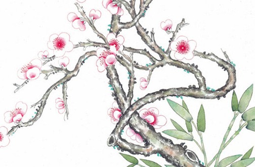 属虎的女士本命年戴什么好 今年属虎戴什么会旺插图