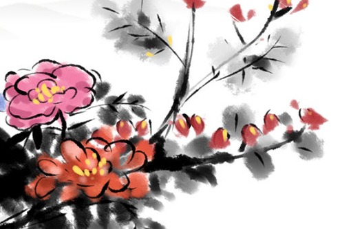 本命年生日放生好不好 本命年生日当天放生什么最好插图