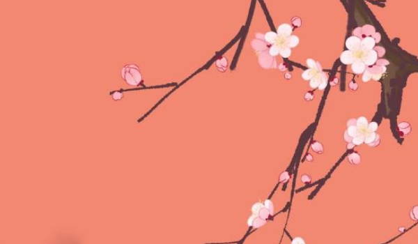 比较好听的生鲜超市名称 生鲜超市起个响亮的名字大全插图
