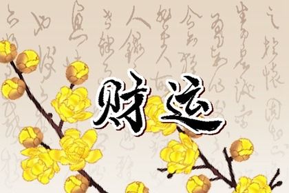 铜钱草摆在家里哪个位置最旺财 阳台养铜钱草风水好吗插图