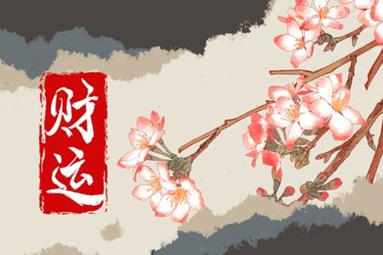 客厅养铜钱草 适合室内养的植物铜钱草插图