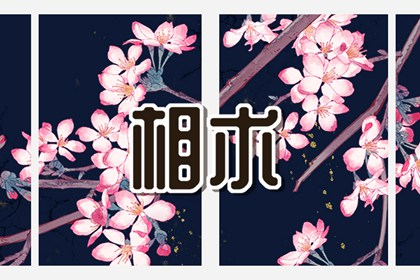 女人耳朵小怎么回事 女人的耳朵太低好吗插图