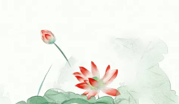 男命日坐伤官妻子貌美不用强求 伤官旺的女人貌美插图