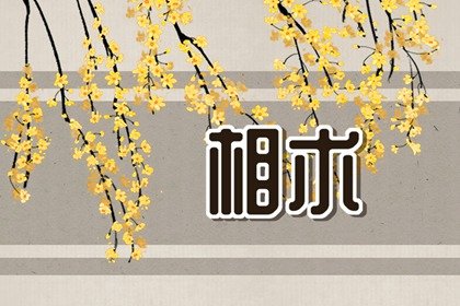 晚年最好的痣是什么痣 手背痣的相学图插图