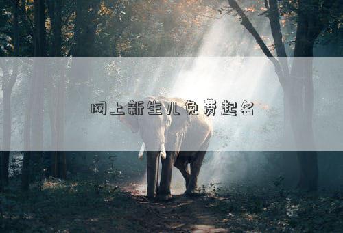 网上新生婴儿免费起名 网上宝宝起名免费插图