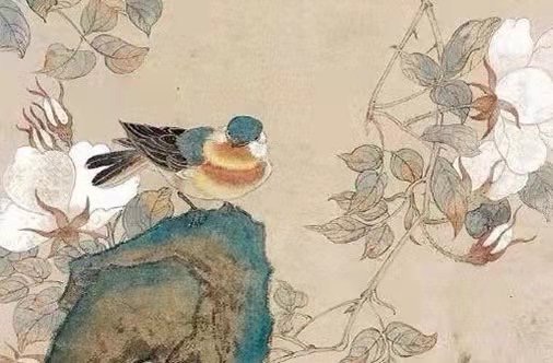 96年属鼠要经历的事情 96年属鼠会在哪年遇到正缘插图