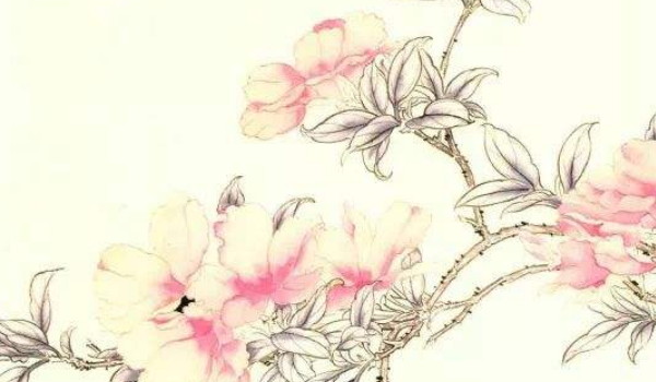 女命日支坐比肩意味着什么 月干比肩一定二婚吗插图