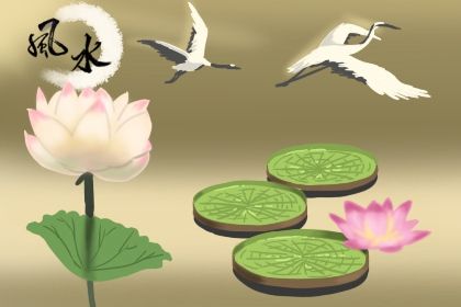 床边台灯颜色有什么风水说法 灯在风水代表什么插图