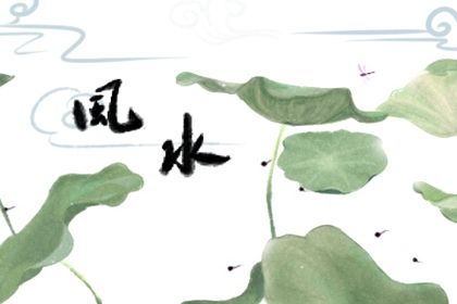 属龙车牌数字怎样安排好 属龙的人选什么车牌号合适插图